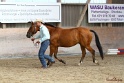 21-ApHC HMC_074
